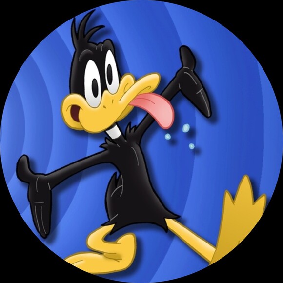 daffyduck13